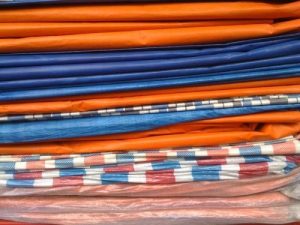 bat-xanh-cam-thu-dau-mot