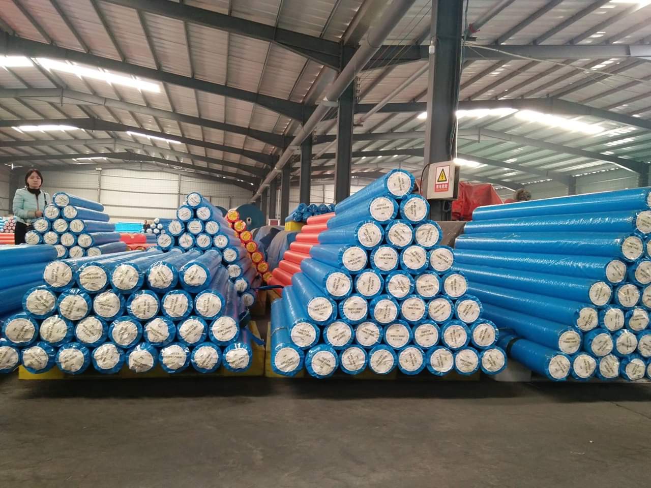 bat-xanh-cam-ben-cat