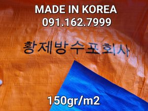 bat-xanh-cam-ben-cat