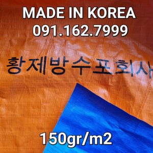 bat-xanh-cam-ben-cat