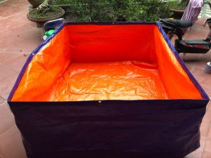 ban-bat-xanh-cam-tai-tay-ninh