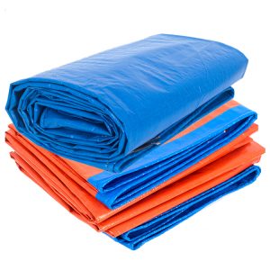 bat-xanh-cam-hoang-gia