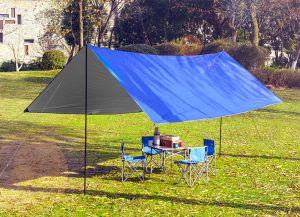 ban-bat-xanh-cam-tai-tay-ninh